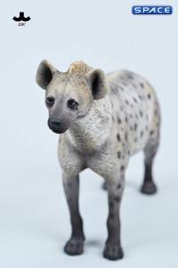 1/6 Scale Hyena Version A3