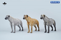 1/6 Scale Hyena Version A3