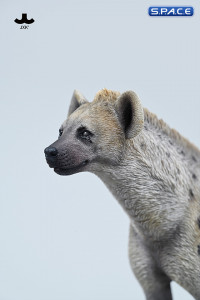 1/6 Scale Hyena Version A3