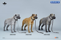 1/6 Scale Hyena Version A3