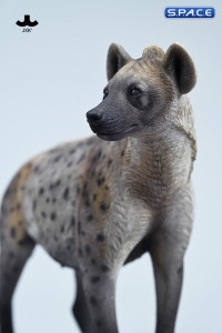 1/6 Scale Hyena Version B1