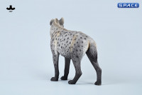 1/6 Scale Hyena Version B1