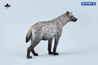 1/6 Scale Hyena Version B1