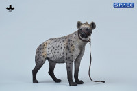 1/6 Scale Hyena Version B1