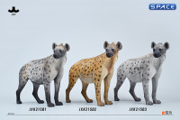 1/6 Scale Hyena Version B1