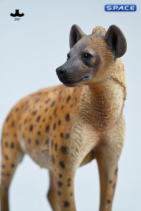 1/6 Scale Hyena Version B2