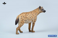 1/6 Scale Hyena Version B2