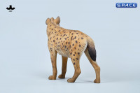 1/6 Scale Hyena Version B2