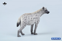 1/6 Scale Hyena Version B3