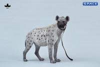 1/6 Scale Hyena Version B3