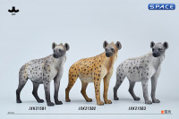 1/6 Scale Hyena Version B3
