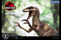 1/10 Scale Velociraptor Jump Prime Collectibles Figures Statue (Jurassic Park)