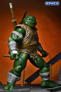 Michelangelo The Wanderer (Teenage Mutant Ninja Turtles)