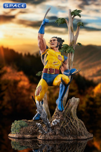 Wolverine Marvel Gallery PVC Statue (Marvel)