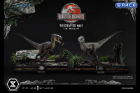 1/6 Scale Male Velociraptor Legacy Museum Collection Statue (Jurassic Park III)