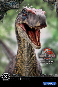 1/6 Scale Male Velociraptor Legacy Museum Collection Statue (Jurassic Park III)