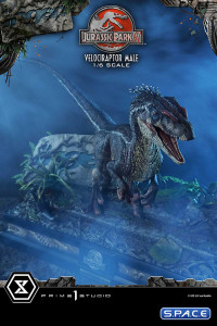 1/6 Scale Male Velociraptor Legacy Museum Collection Statue (Jurassic Park III)