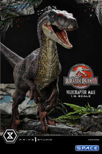 1/6 Scale Male Velociraptor Legacy Museum Collection Statue (Jurassic Park III)