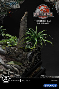 1/6 Scale Male Velociraptor Legacy Museum Collection Statue (Jurassic Park III)