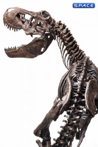 1/8 Scale Rotunda T-Rex Skeleton Bronze Statue (Jurassic Park)