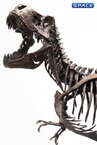 1/8 Scale Rotunda T-Rex Skeleton Bronze Statue (Jurassic Park)