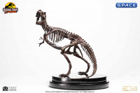 1/24 Scale Rotunda T-Rex Skeleton Bronze Statue (Jurassic Park)