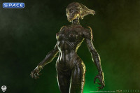 1/3 Scale Sil Statue (Species)