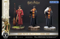 1/6 Scale Harry Potter Quidditch Prime Collectible Figures Statue (Harry Potter)