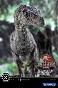 1/6 Scale Female Velociraptor Legacy Museum Collection Statue - Bonus Version (Jurassic Park III)