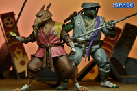 Ultimate Splinter (Teenage Mutant Ninja Turtles: The Last Ronin)