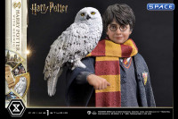 1/6 Scale Harry Potter with Hedwig Prime Collectible Figures Statue (Harry Potter)