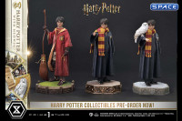 1/6 Scale Harry Potter with Hedwig Prime Collectible Figures Statue (Harry Potter)