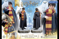 1/6 Scale Harry Potter with Hedwig Prime Collectible Figures Statue (Harry Potter)