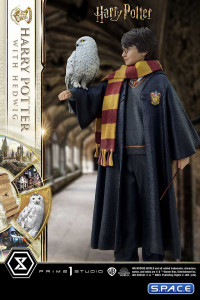 1/6 Scale Harry Potter with Hedwig Prime Collectible Figures Statue (Harry Potter)