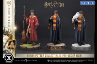 1/6 Scale Harry Potter Prime Collectible Figures Statue (Harry Potter)