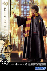 1/6 Scale Harry Potter Prime Collectible Figures Statue (Harry Potter)