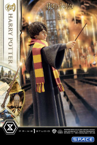 1/6 Scale Harry Potter Prime Collectible Figures Statue (Harry Potter)