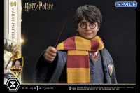 1/6 Scale Harry Potter Prime Collectible Figures Statue (Harry Potter)