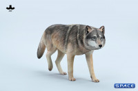 1/6 Scale Gray Wolf Version A1