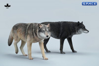 1/6 Scale Gray Wolf Version A1