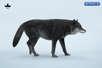 1/6 Scale Gray Wolf Version A4