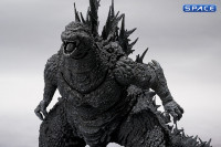S.H.MonsterArts Godzilla - colour Version (Godzilla Minus One)