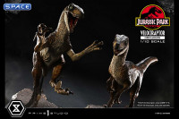 1/10 Scale Velociraptor Prime Collectible Figures Statue - open Mouth Version (Jurassic Park)