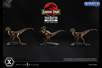 1/10 Scale Velociraptor Prime Collectible Figures Statue - open Mouth Version (Jurassic Park)