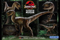 1/10 Scale Velociraptor Prime Collectible Figures Statue - open Mouth Version (Jurassic Park)