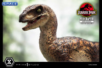 1/10 Scale Velociraptor Prime Collectible Figures Statue - open Mouth Version (Jurassic Park)