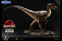 1/10 Scale Velociraptor Prime Collectible Figures Statue - open Mouth Version (Jurassic Park)