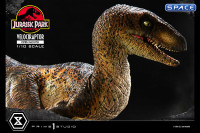 1/10 Scale Velociraptor Prime Collectible Figures Statue - open Mouth Version (Jurassic Park)