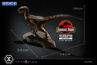 1/10 Scale Velociraptor Prime Collectible Figures Statue - open Mouth Version (Jurassic Park)