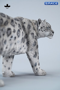 1/6 Scale Snow Leopard